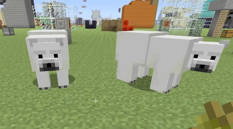  Polar Bears In Minecraft