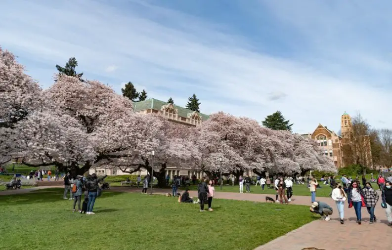 Why the University of Washington