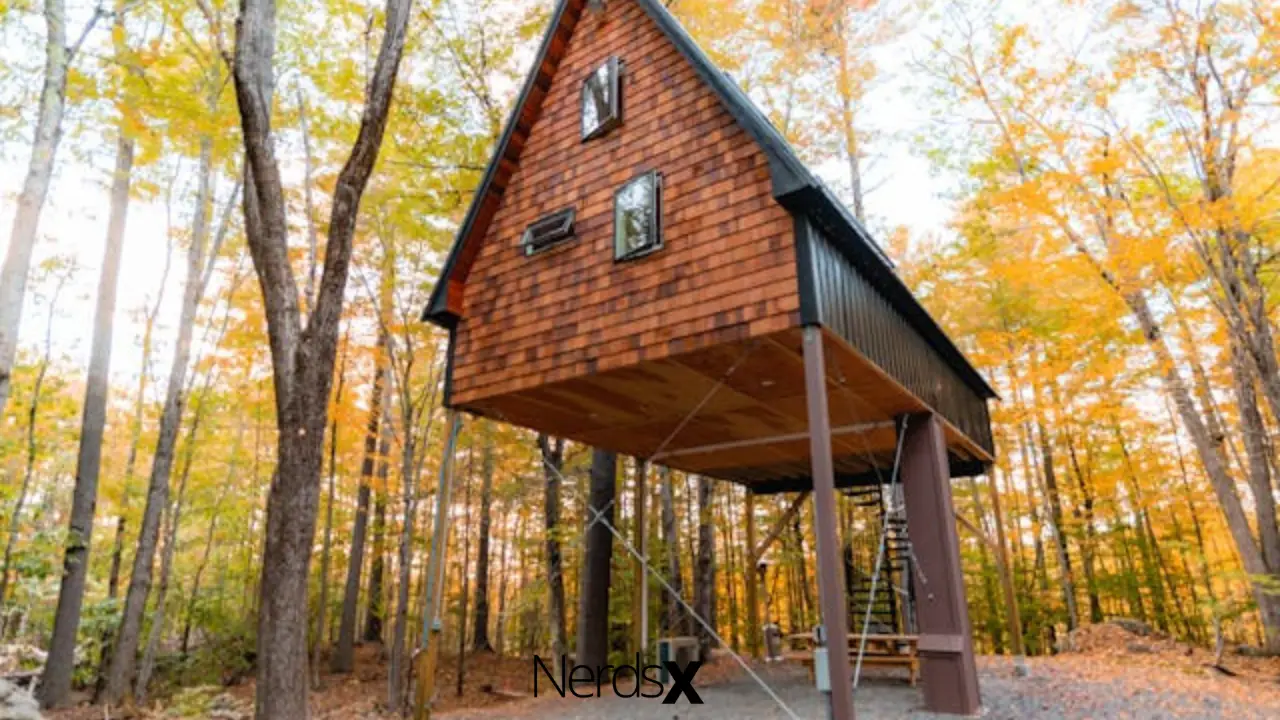 15 Of The Most Amazing Treehouses From Around The World