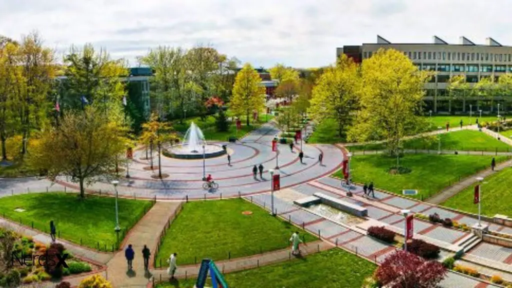 The Ultimate Guide to Deciding if Stony Brook is the Right University for Computer Science