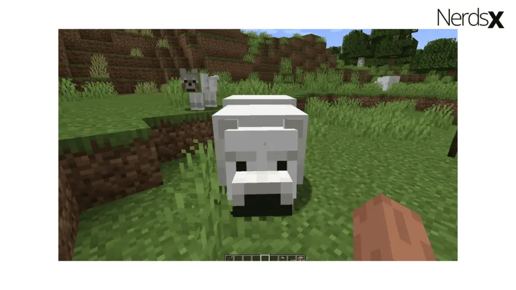 What Do Polar Bears Eat In Minecraft